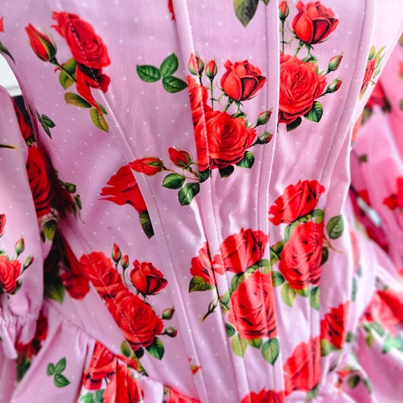 NWT Holding Court Corset Dress - Pink SOLD OUT - Picture 3 of 7